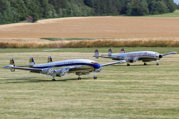 Parfum de niche femme : découvrez l'élégance originelle